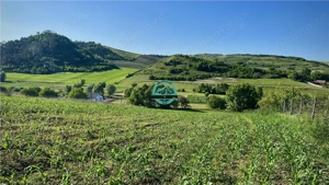 Vand teren intravilan in Sanisor cu suprafata de 4946 mp - imagine 6