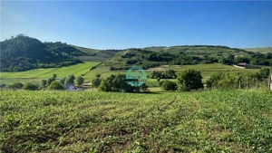 Vand teren intravilan in Sanisor cu suprafata de 4946 mp - imagine 5