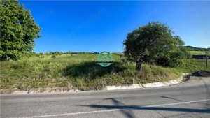 Vand teren intravilan in Sanisor cu suprafata de 4946 mp - imagine 4