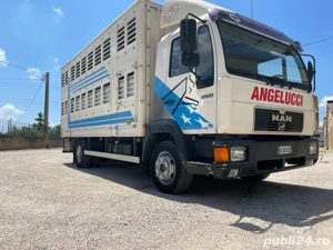 camion pentru animali 2 livele - imagine 5