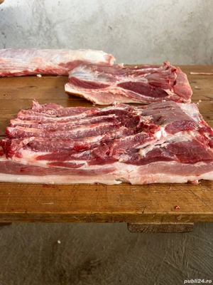vand porci de carne in carcasa, rasa pietrain, pic, duroc cu pietrain si duroc pur  - imagine 5