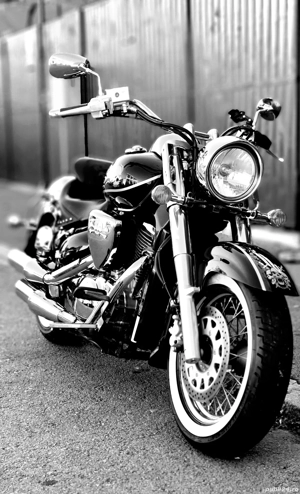   Suzuki Boulevard VL800T  