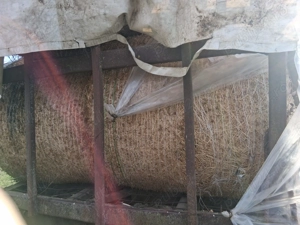 Vand Baloti calitate superioara