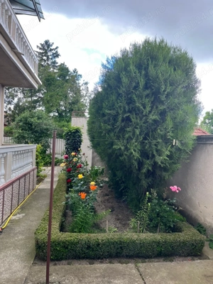 Proprietar: Casă solidă și spațioasă în zona centrală - Sânnicolau Mare - imagine 5