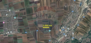 Teren Extravilan 5.000 mp Tarlungeni / Strada Zizinului - imagine 2