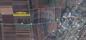 Teren Extravilan 5.000 mp Tarlungeni / Strada Zizinului - imagine 5