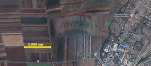 Teren Extravilan 5.000 mp Tarlungeni / Strada Zizinului - imagine 4