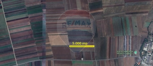 Teren Extravilan 5.000 mp Tarlungeni / Strada Zizinului - imagine 3