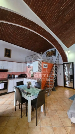 Apartament 1 camera de inchiriat, pet friendly, centru, Timisoara - imagine 3