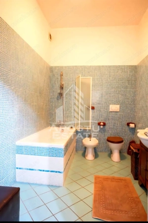 Apartament 1 camera de inchiriat, pet friendly, centru, Timisoara - imagine 14