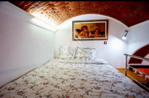 Apartament 1 camera de inchiriat, pet friendly, centru, Timisoara - imagine 8