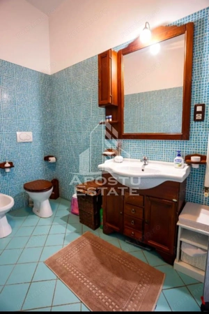 Apartament 1 camera de inchiriat, pet friendly, centru, Timisoara - imagine 13