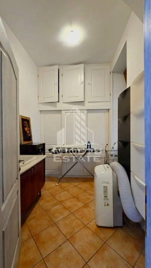 Apartament 1 camera de inchiriat, pet friendly, centru, Timisoara - imagine 10
