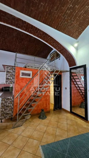Apartament 1 camera de inchiriat, pet friendly, centru, Timisoara - imagine 4