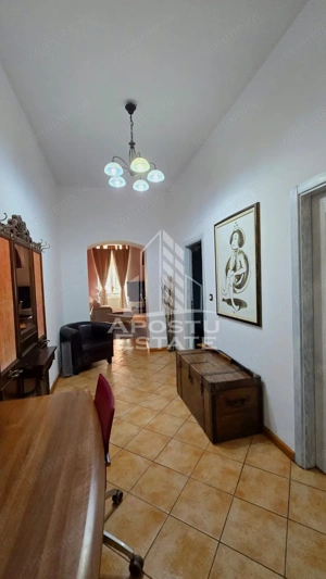 Apartament 1 camera de inchiriat, pet friendly, centru, Timisoara - imagine 9