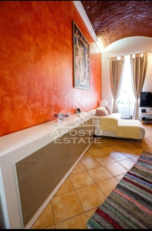 Apartament 1 camera de inchiriat, pet friendly, centru, Timisoara - imagine 6