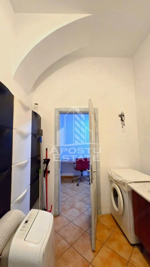 Apartament 1 camera de inchiriat, pet friendly, centru, Timisoara - imagine 11
