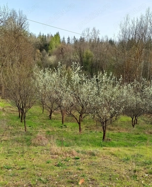 Vând  teren extravilan ! - imagine 4