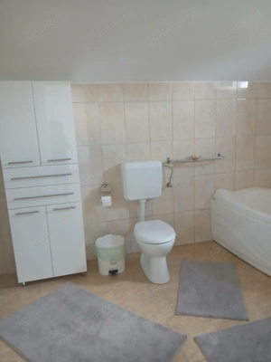 Vând, schimb casă în Ineu, județul Arad  - imagine 4