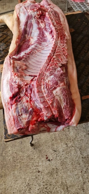 Disponibili  - imagine 5