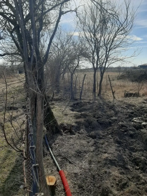 Teren de vânzare BUTIMANU  - imagine 5