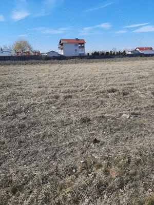 Teren de vânzare BUTIMANU  - imagine 4