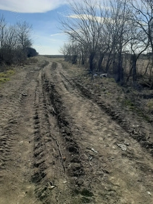 Teren de vânzare BUTIMANU  - imagine 6