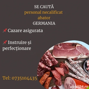 Angajam muncitori Necalificati Calificati la banda - abator Germania 