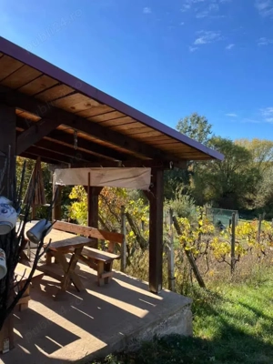 Casă de vacanță, 1100 MP teren, Cauaceu, Biharia, Bihor. - imagine 3