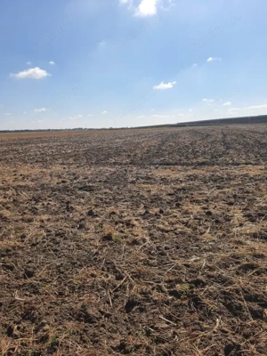 TEREN  EXTRAVILAN 7.802 mp –DOMNESTI, ILFOV