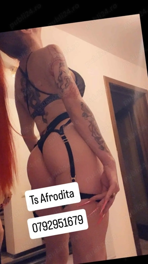 Top Trans Afrodita! Pe mine mă vrei! Revenirea ta e garantată! - imagine 10