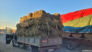 Transport marfa basculabil - imagine 5