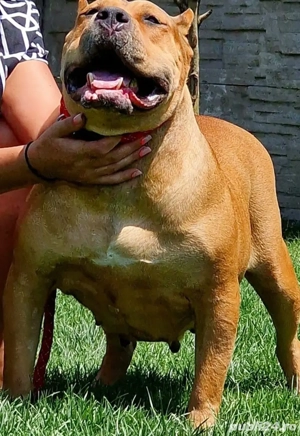 Rasa Pura 100% - imagine 5