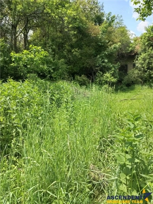 Domeniu verde autentic,  +5.000mp, front la DJ, Valcele, Brasov -- Covasna - imagine 7