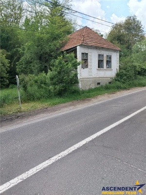 Domeniu verde autentic,  +5.000mp, front la DJ, Valcele, Brasov -- Covasna - imagine 6