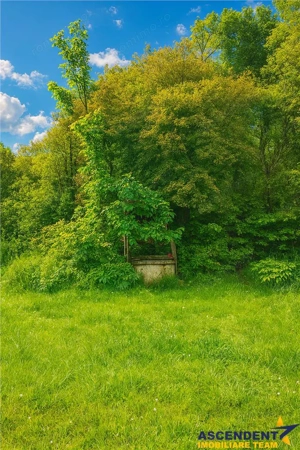 Domeniu verde autentic,  +5.000mp, front la DJ, Valcele, Brasov -- Covasna - imagine 2