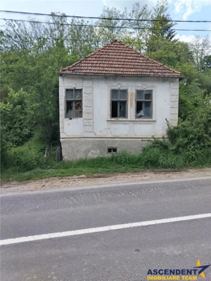 Domeniu verde autentic,  +5.000mp, front la DJ, Valcele, Brasov -- Covasna - imagine 4