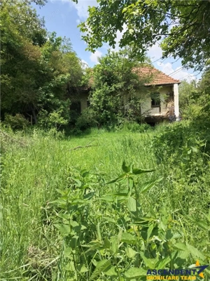 Domeniu verde autentic,  +5.000mp, front la DJ, Valcele, Brasov -- Covasna - imagine 3