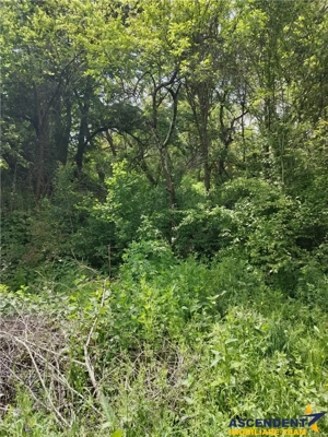 Domeniu verde autentic,  +5.000mp, front la DJ, Valcele, Brasov -- Covasna - imagine 11