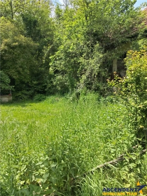 Domeniu verde autentic,  +5.000mp, front la DJ, Valcele, Brasov -- Covasna - imagine 9