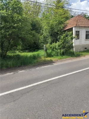 Domeniu verde autentic,  +5.000mp, front la DJ, Valcele, Brasov -- Covasna - imagine 10