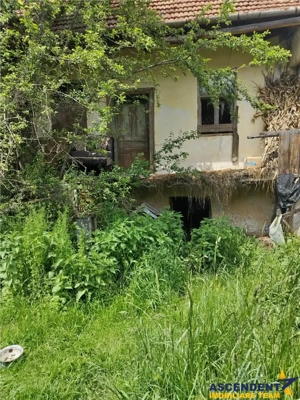 Domeniu verde autentic,  +5.000mp, front la DJ, Valcele, Brasov -- Covasna - imagine 8