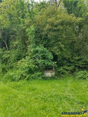 Domeniu verde autentic,  +5.000mp, front la DJ, Valcele, Brasov -- Covasna - imagine 14