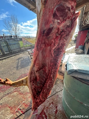 Vand carcasa porc. - imagine 2