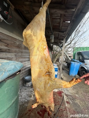 Vand carcasa porc. - imagine 3