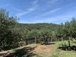 Livada 1100 mp în intravilan, de vânzare   Comuna Botești, Județul Argeș - imagine 2