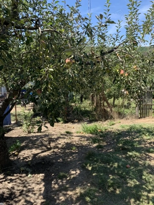 Livada 1100 mp în intravilan, de vânzare   Comuna Botești, Județul Argeș