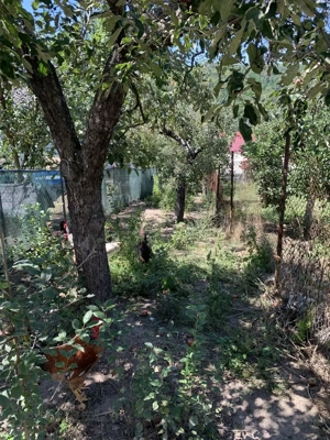 Livada 1100 mp în intravilan, de vânzare   Comuna Botești, Județul Argeș - imagine 3