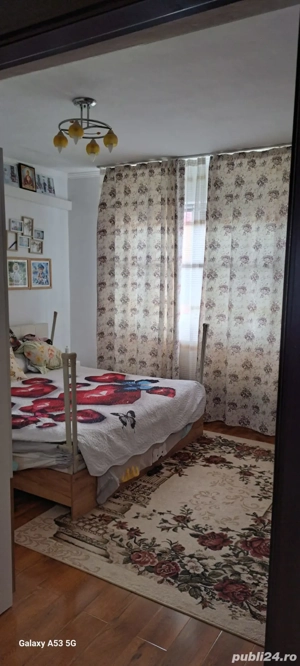 Casa Mihaesti la 12 km de Valcea - imagine 9