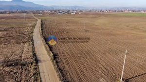 Teren investiție intravilan 3600 mp – Dumbrava Roșie - imagine 3